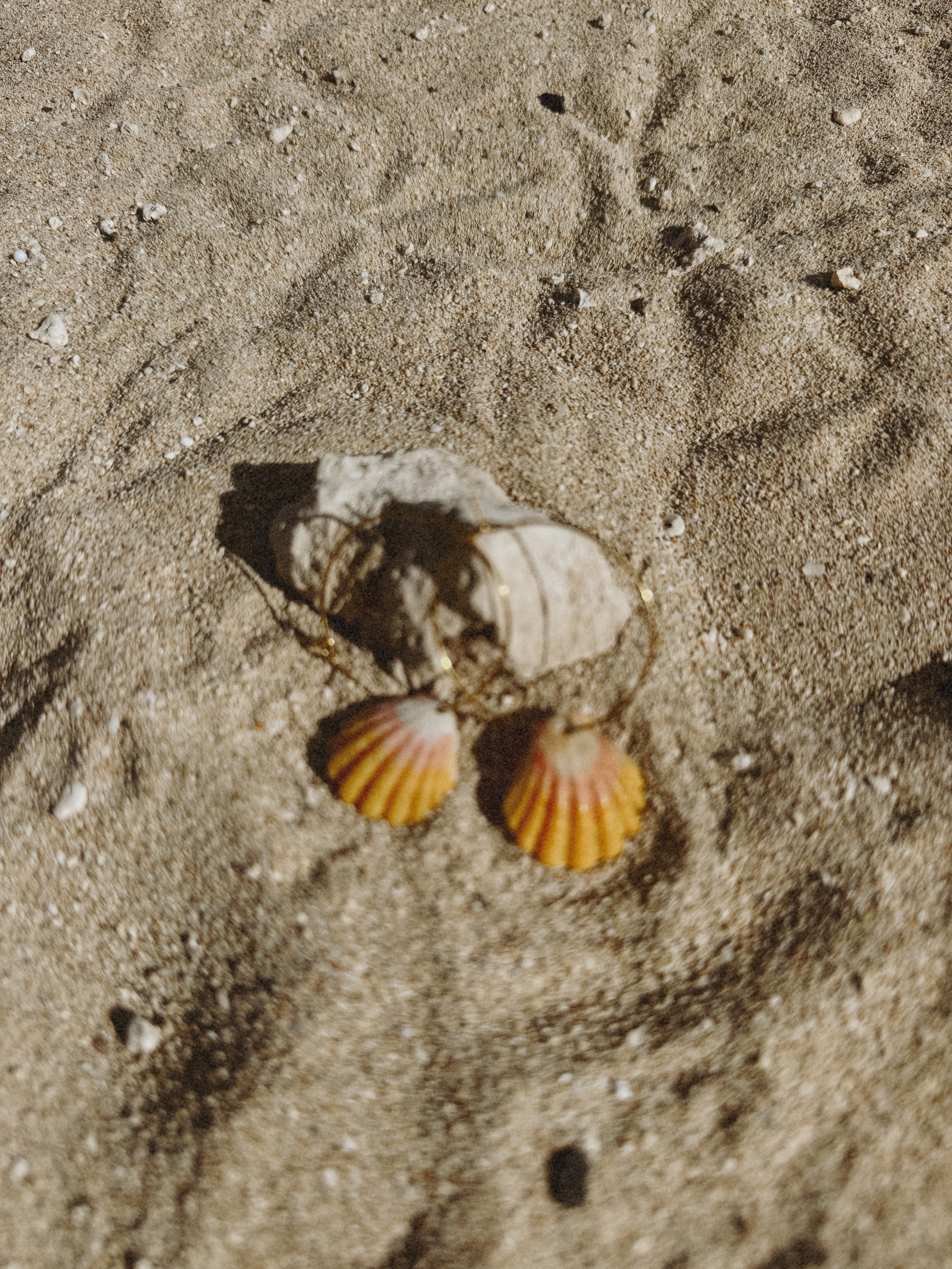 Sunrise Shell earrings